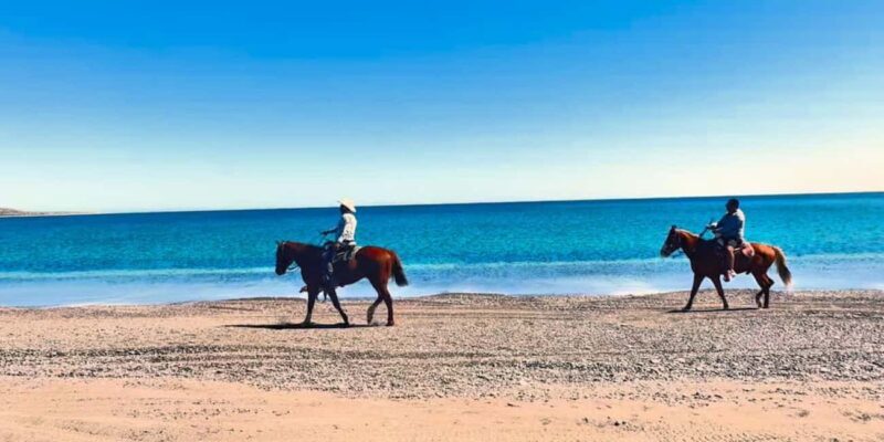 La Paz: Scenic Beach Horseback Ride with Snacks - The Sum Up