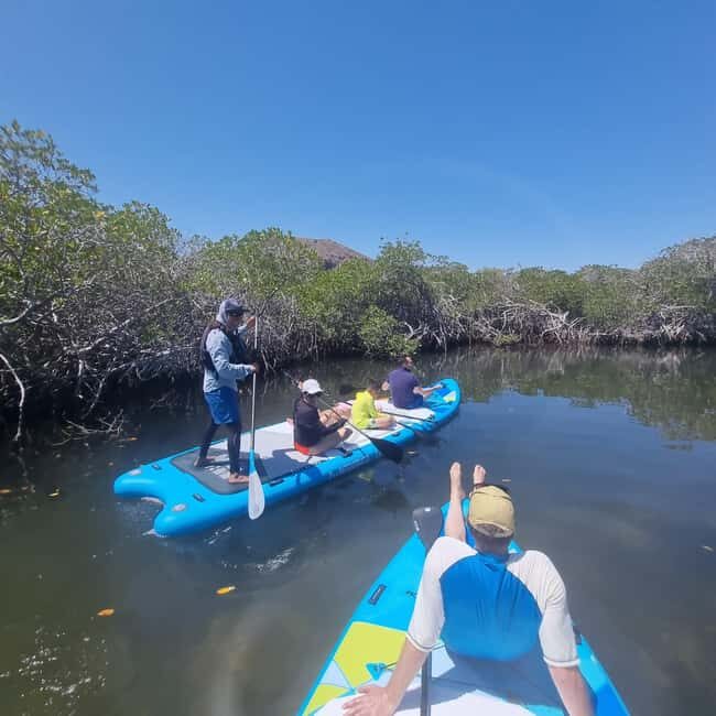 La Paz: Sea Lions & Mega-Paddleboard Tour in Balandra - The Sum Up