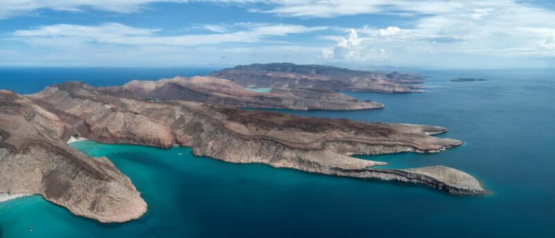 La Paz: Sea Lions & Mega-Paddleboard Tour in Espiritu Santo - Key Points