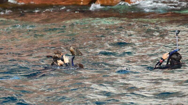 La Paz: Sea Lions & Mega-Paddleboard Tour in Espiritu Santo - Final Thoughts