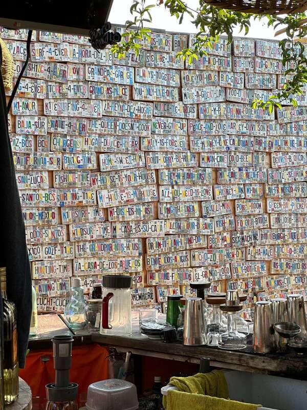 La Paz: Todos Santos Day Trip - Limitations and Considerations