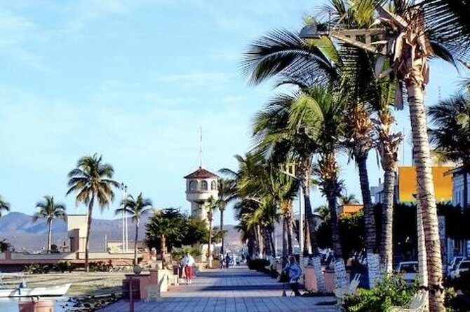 La Paz Whale Shark Snorkeling Tour and Lunch From Los Cabos - FAQs