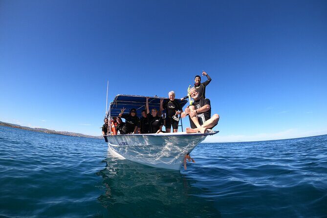 La Paz Whale Shark Snorkeling Tour and Lunch From Los Cabos - Final Thoughts