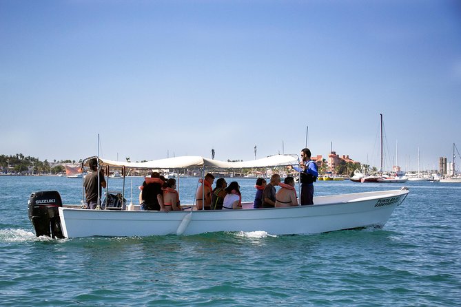 La Paz Whale Shark Snorkeling Tour and Lunch From Los Cabos - Safety and Accessibility