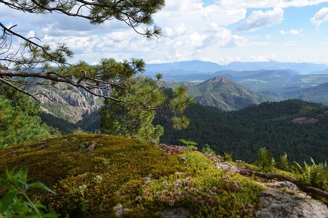 La Pirámide Park // WALK AND DISCOVER THE PARK - Who Will Love This Experience?