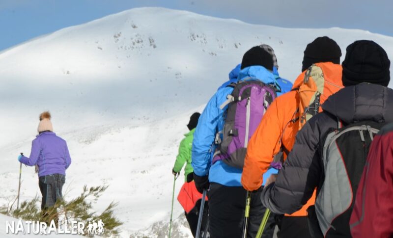 La Raya: Winter Sources Snowshoe Walk - Guided Experience