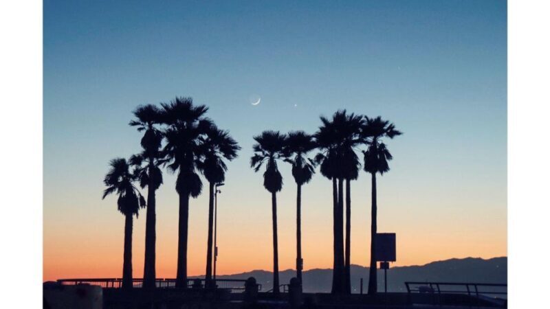 LA River Eco Tour and Secret Stair Hike - The Itinerary: From the River to Hidden Hills