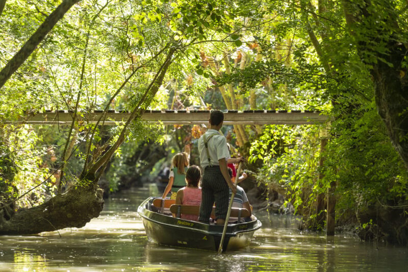 La Rochelle: Marais Poitevin Private Guided Tour by Car - Key Points
