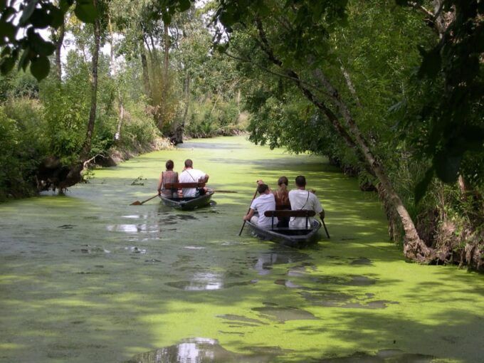La Rochelle: Marais Poitevin Private Guided Tour by Car - Enjoying the Traditional Boat Trip
