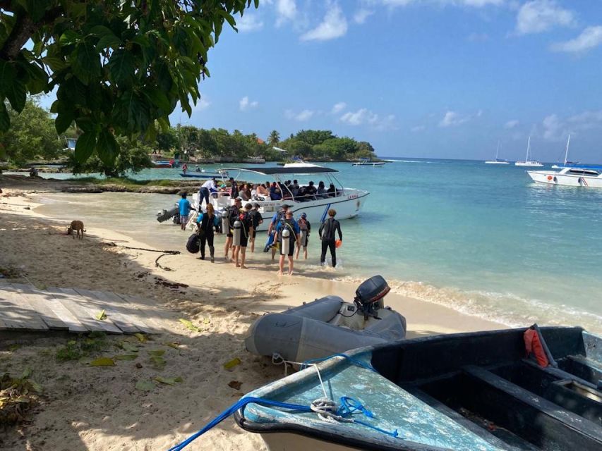 La Romana: 3-Day PADI Open Water Diver Course - Eligibility Requirements