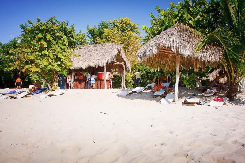 La Romana: Catalina Island Full-Day Snorkeling Tour - FAQs