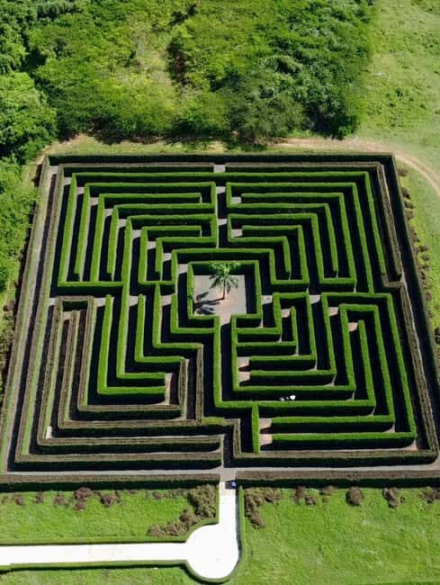 La Romana Half-Day Small Group Tour: Cave, Maze & Culture - The Jungle Maze: A Playful Challenge