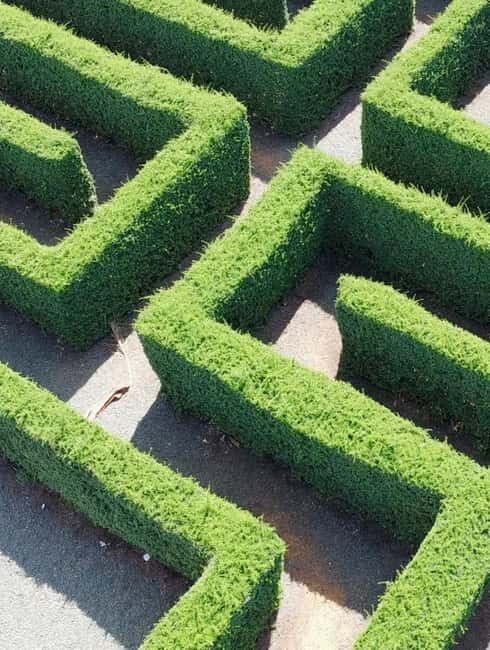 La Romana Half-Day Small Group Tour: Cave, Maze & Culture - What Our Reviewers Say