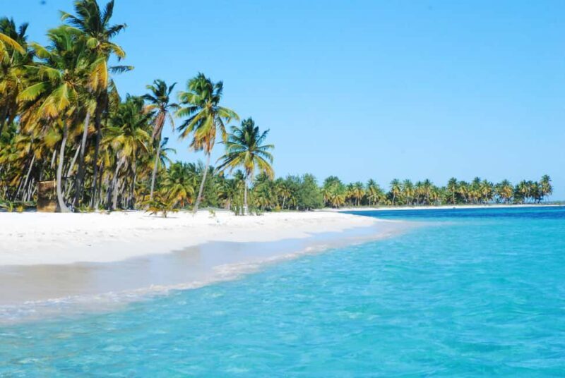 La Romana: Saona Crusoe VIP for cruise guests - Canto de la Playa: Remote beach paradise