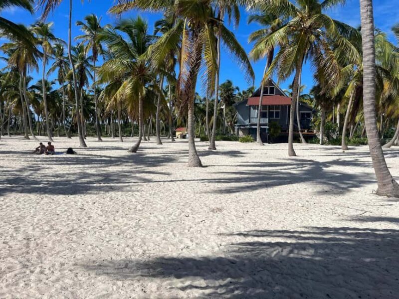 La Romana: Saona Island Boat Tour with Lunch - Final Thoughts: Is This Tour For You?