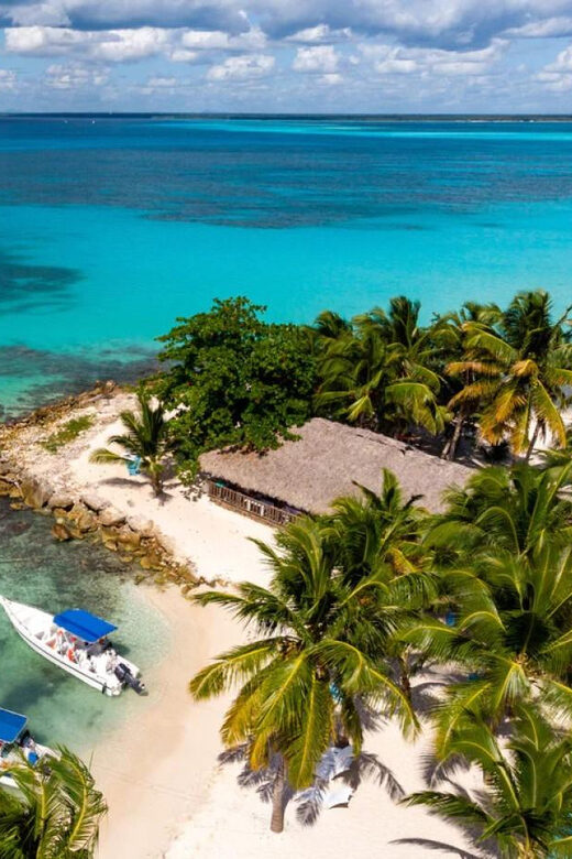 La Romana: Saona Island for Norwegian Sky Cruise Passengers - Who Will Love This Tour?