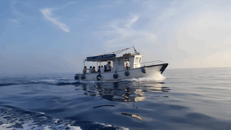 La Spezia: private tour, Portovenere, snorkeling, aperitivo - The Itinerary: A Day of Coastal Wonders