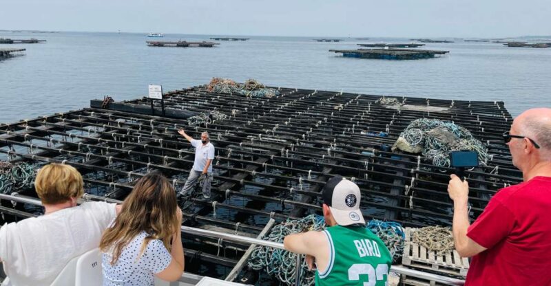 La Toja: Boat Tour at the Arousa Estuary With Mussel Tasting - Experience Highlights