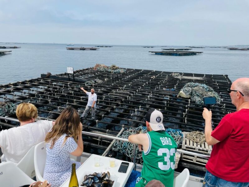 La Toja: Boat Tour at the Arousa Estuary With Mussel Tasting - Important Information