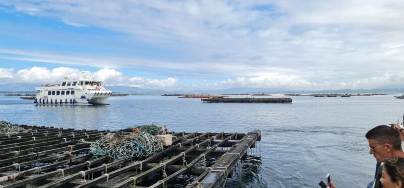 La Toja: Boat Tour at the Arousa Estuary With Mussel Tasting - Practical Information