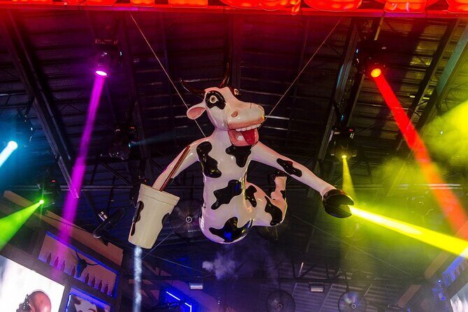 La Vaquita Cancun Unlimited drinks - Who Is This Tour Best For?