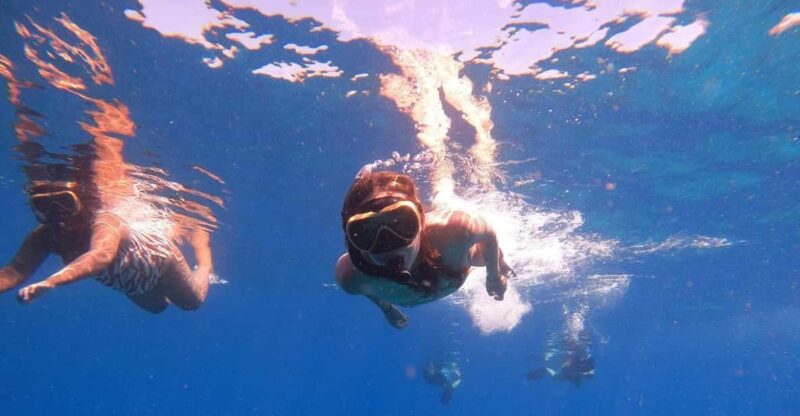 Labuan Bajo: 2-Day Komodo Island Cruise With a Private Cabin - Customer Ratings and Feedback