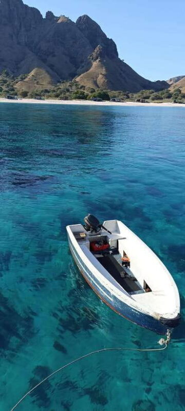 Labuan Bajo: 2 Nights Komodo Liveaboard on Phinisi Boat - Who Will Love This Tour?