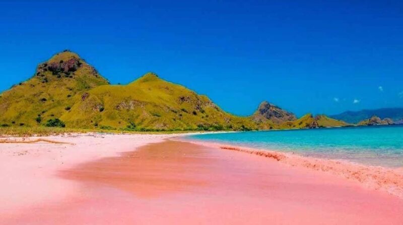 Labuan Bajo: Day Trip 6-Points Komodo Islands With Speedboat - Good To Know