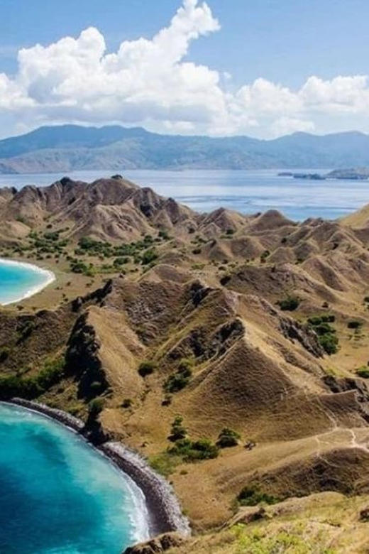 Labuan Bajo: Day Trip 6-Points Komodo Islands With Speedboat - Included Services