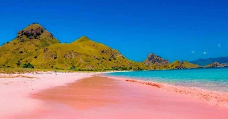 Labuan Bajo: Day Trip 6-Points Komodo Islands With Speedboat - Health and Safety