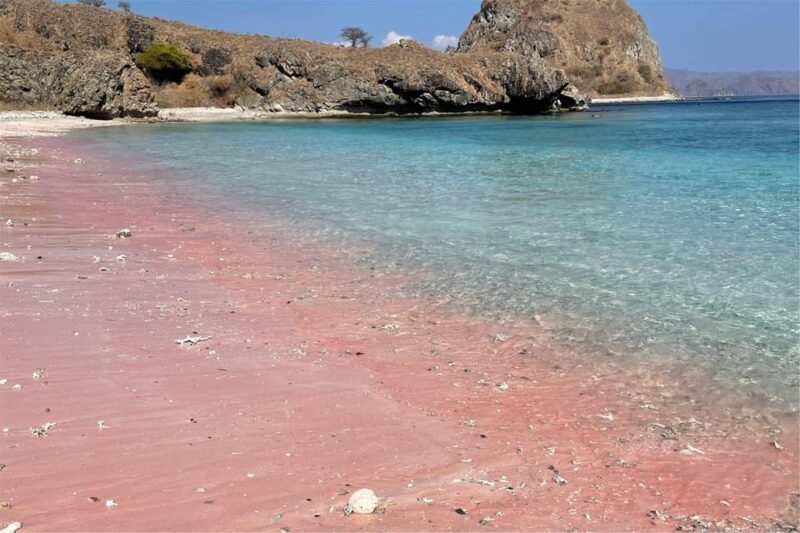 Labuan Bajo: Dragons Day Trip & Island Hopping With All Fee - Highlights of the Itinerary