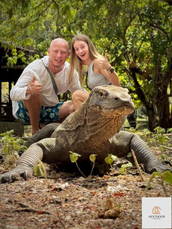 Labuan Bajo: Komodo and Pink Beach 2-Day Shared Boat Tour - Key Points