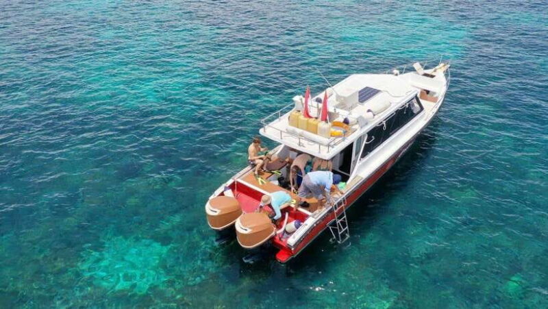 Labuan Bajo: One Day Komodo Tour & Snorkeling - Who Will Love This Tour?