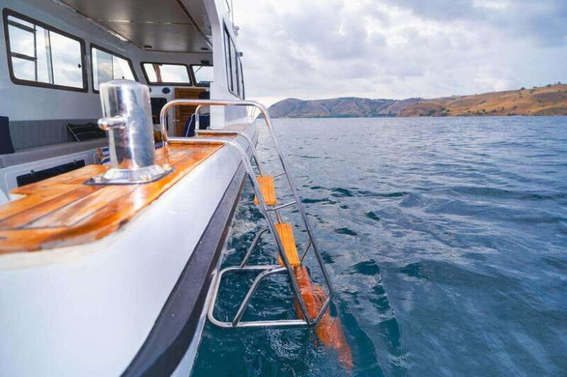 Labuan Bajo: One Day Tour to Explore Komodo National Park - An In-Depth Look at the Tour Experience