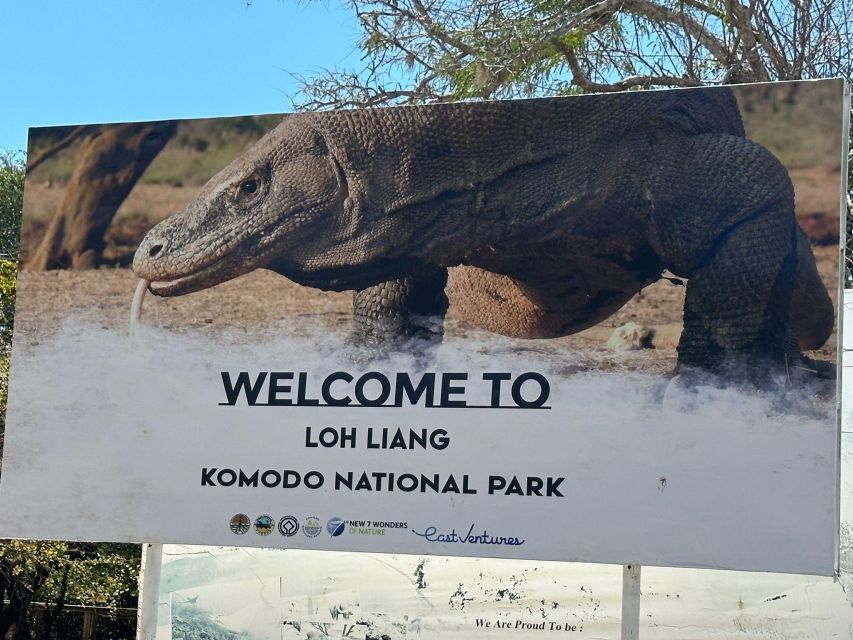 Labuan Bajo: One Day Tour to Explore Komodo National Park - Discovering Pink Beach
