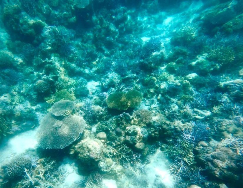Labuan Bajo: Rangko Cave and Beach Snorkeling Half-Day Tour - Boat Transportation