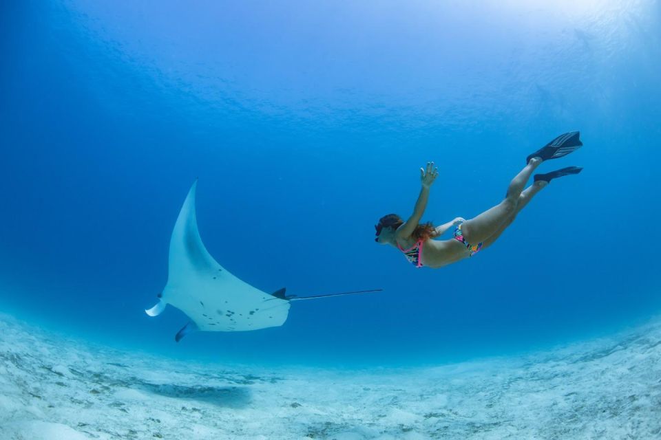 Labuan Bajo: Swim and Snorkel Komodo Island Trip With Lunch - Lunch on Komodo Island