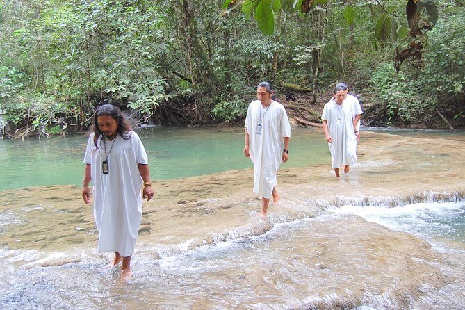 Lacandon Jungle Adventure and Bonampak Archaelogical Site from Palenque - How Does It Value? Analyzing the Cost
