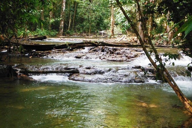 Lacandon Jungle Adventure and Bonampak Archaelogical Site from Palenque - Practical Details and What to Consider