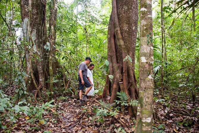 Lacandon Jungle Adventure and Bonampak Archaelogical Site from Palenque - Who Should Consider This Tour?