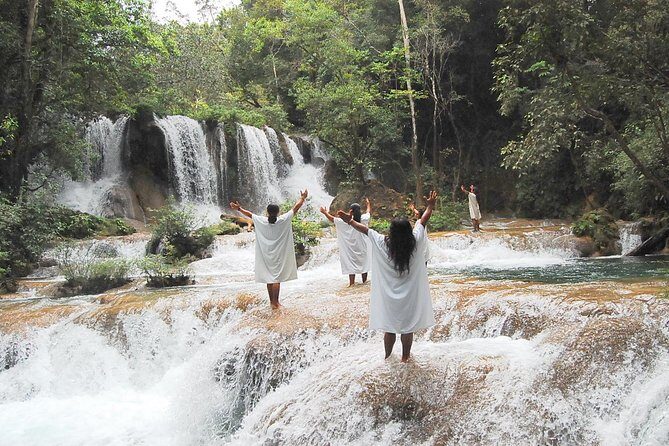 Lacandon Jungle Adventure and Bonampak Archaelogical Site from Palenque - Final Thoughts: Is It Worth It?