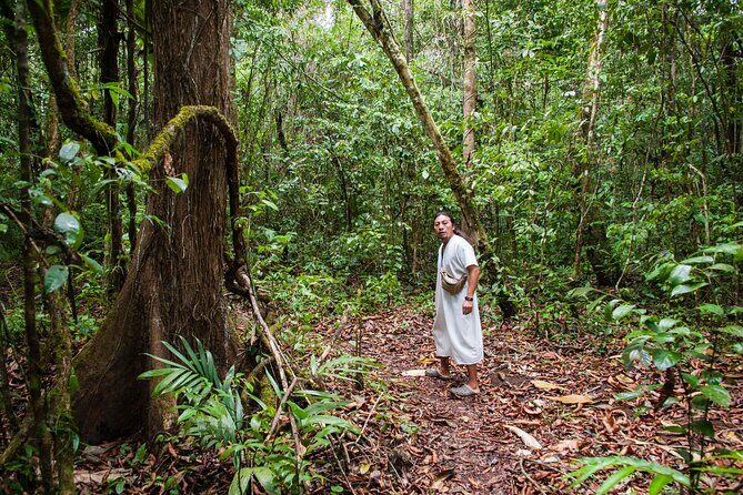 Lacandon Jungle Adventure and Bonampak Archaelogical Site from Palenque - FAQ: Your Practical Questions Answered