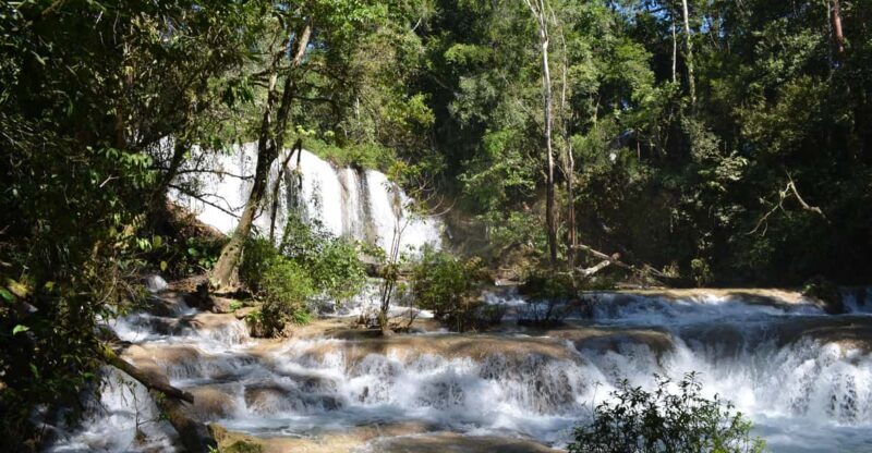 Lacandon Jungle Adventure and Bonampak Archaelogical Site - Key Points