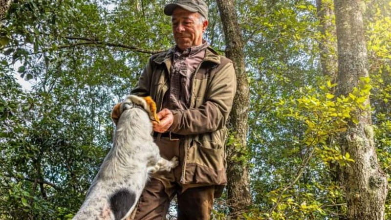 Laconi: truffle hunting excursion with lunch - Key Points
