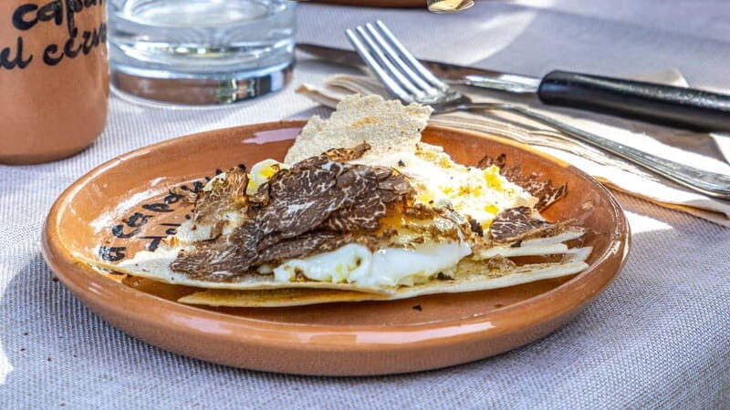 Laconi: truffle hunting excursion with lunch - An In-Depth Look at the Truffle Hunting Experience