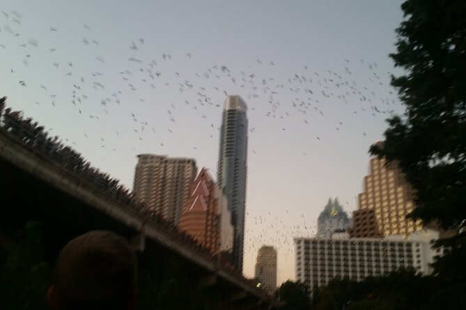 Lady Bird Lake Bike Tour in Austin - Traveler Experience