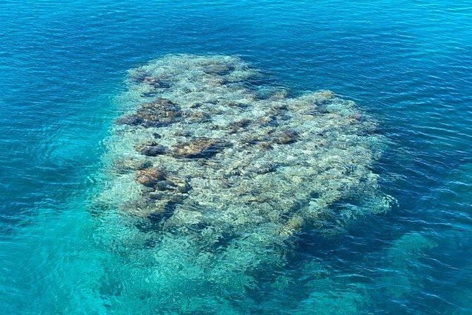 Lady Musgrave Day Trip from Bundaberg Including Snorkeling - Final Words: Is This the Right Reef Trip for You?