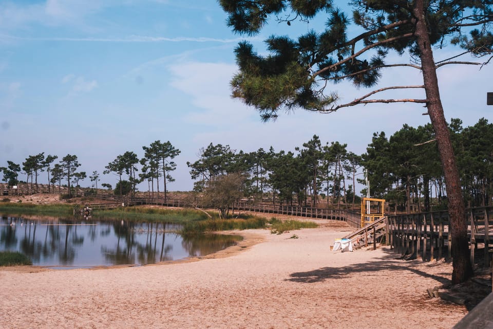 Lagoa da Ervedeira E-bike and Stand Up Paddle tour - A Deep Dive into the Experience