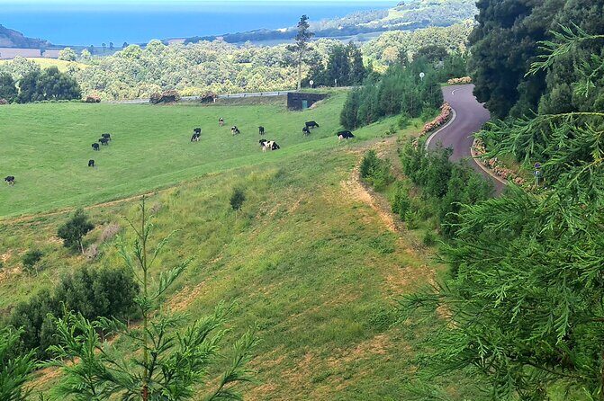 Lagoa do Fogo and Ribeira Grande Half Day Private Tour - Key Points