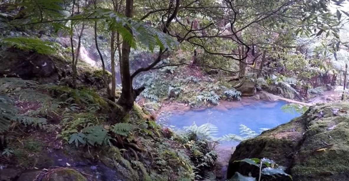 Lagoa Do Fogo: Guided Volcano Geo Tour W/ Hotsprings Bathing - Tour Languages Offered